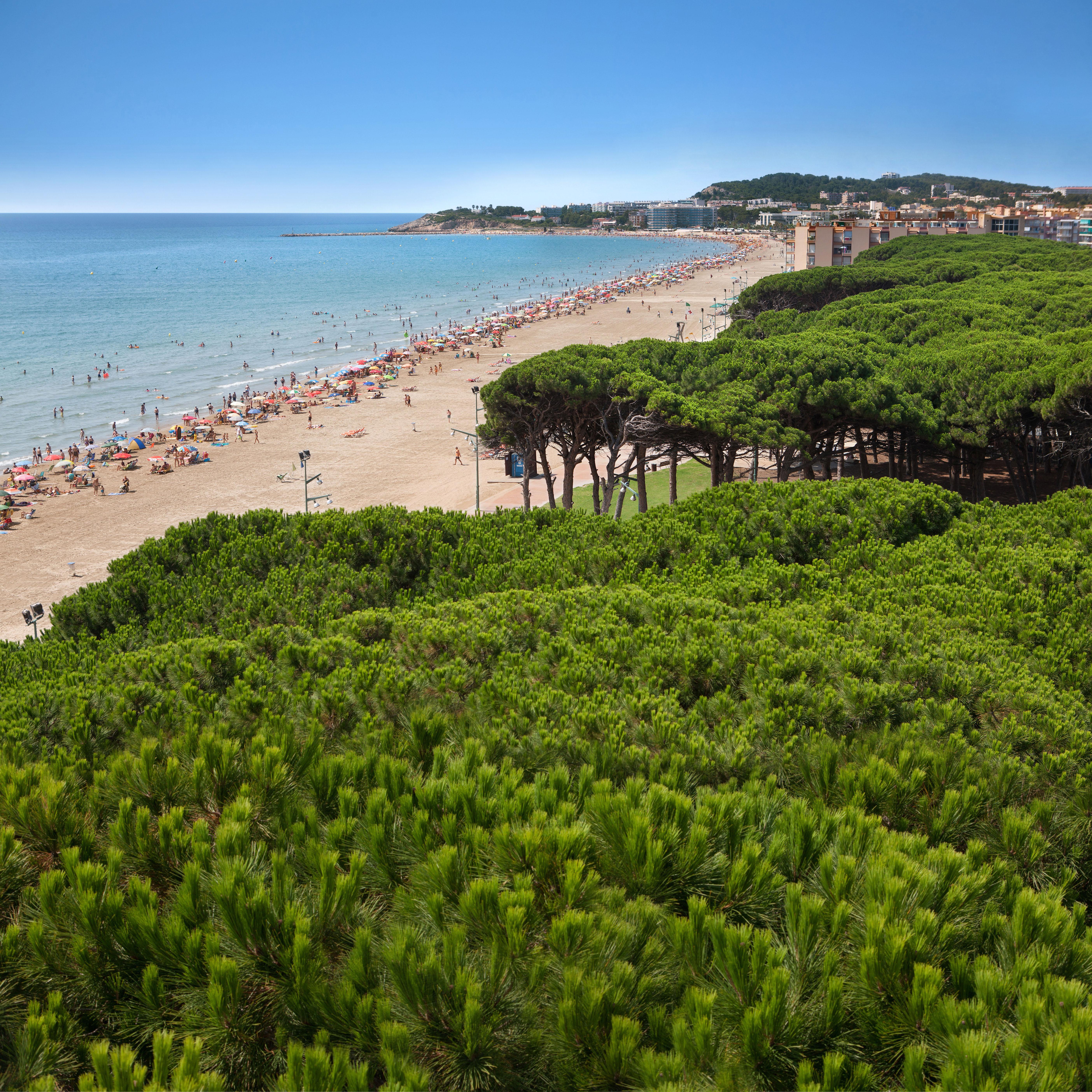 Pineda Park Διαμέρισμα La Pineda Εξωτερικό φωτογραφία